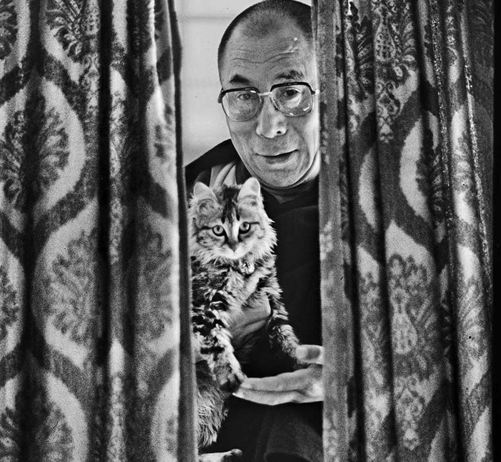 Dalai Lama with his pet cat
