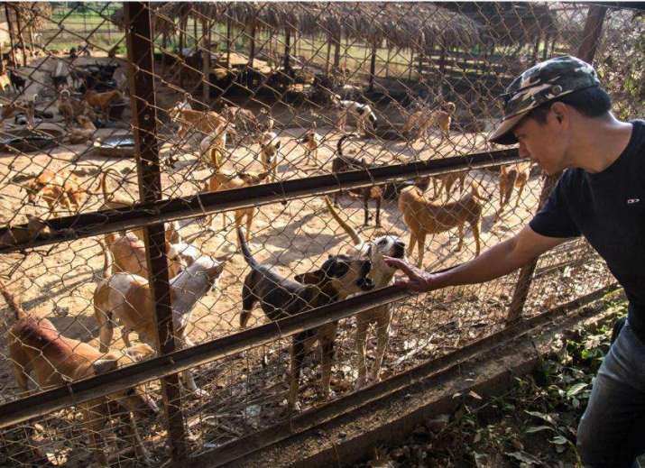 Maung Maung Oo greets some of the growing number of dogs under his care. Photo by Aung Myin Ye Zaw. From mmtimes.com