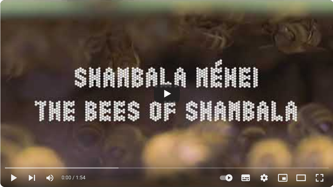Suraj Bhattarai: Shambala méhei (bhutáni-magyar dokumentumfilm, 2022.) – magyarországi bemutató!